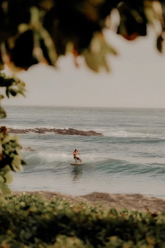Swimmer in the Pacific at dusk, framed by palms
