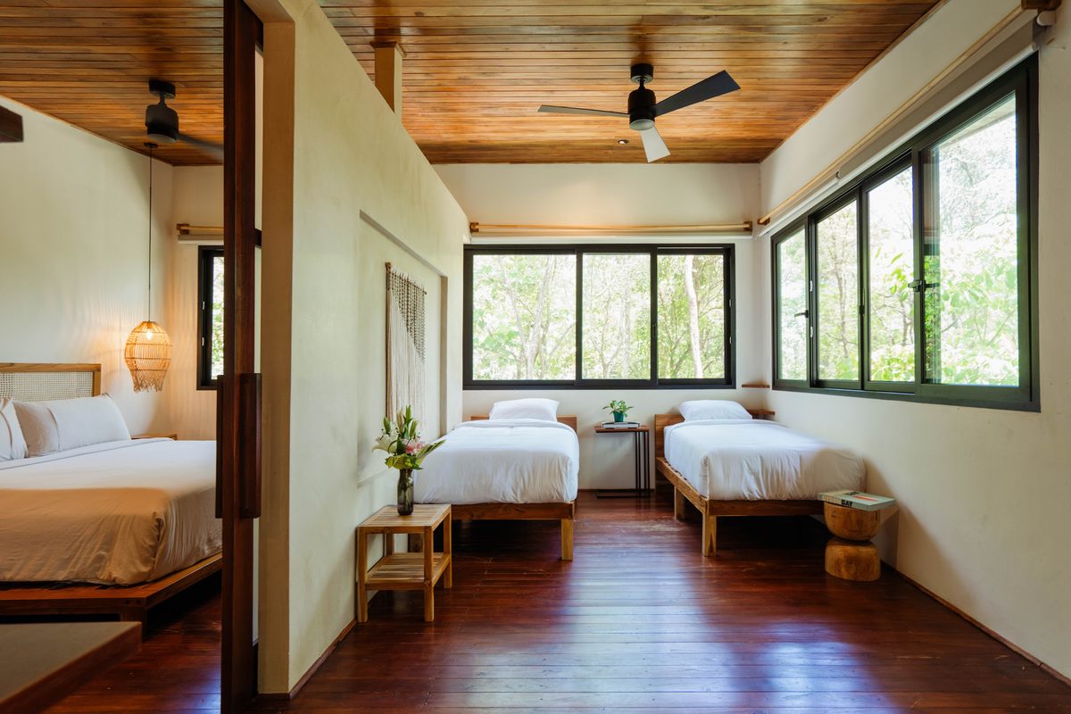Mantis room with two single beds and wide jungle-facing windows